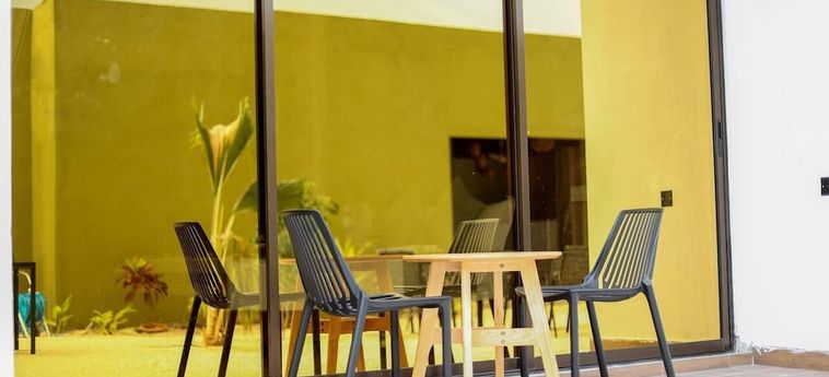 Thoddoo Island Hotel Maldivas: Foto 