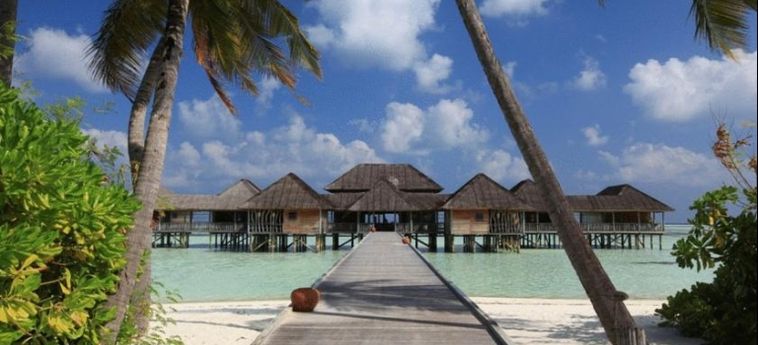 Hotel Gili Lankanfushi:  MALDIVE