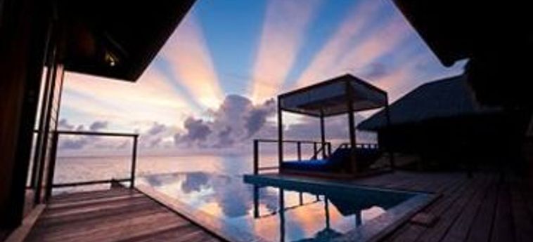 Hotel Coco Bodu Hithi:  MALDIVE
