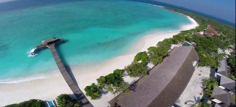 The Barefoot Eco Hotel:  MALDIVE