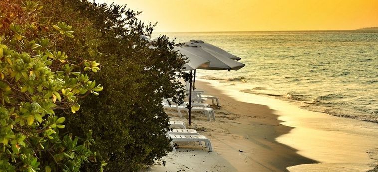 Dhiffushi White Sand Beach Hotel:  MALDIVE