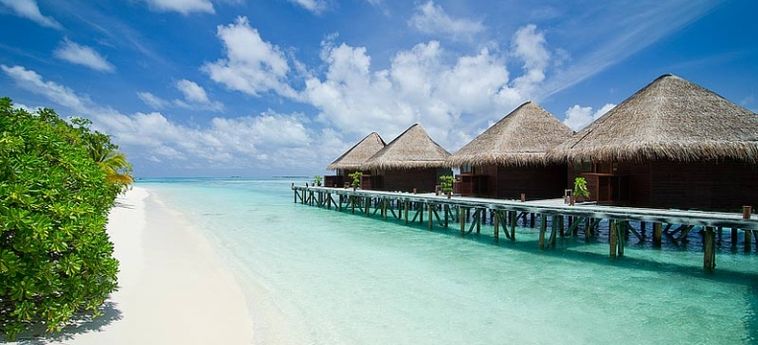 Hotel Mirihi Island Resort:  MALDIVEN