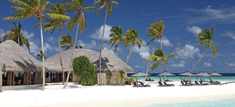 Hotel Constance Halaveli Resort:  MALDIVEN