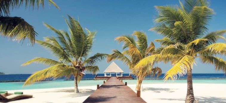 Hotel Coco Palm Bodu Hithi:  MALDIVEN