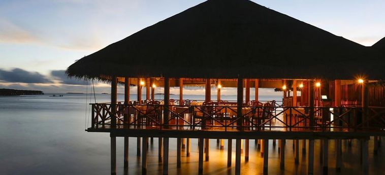 Hotel Medhufushi Island Resort:  MALDIVEN