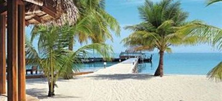 Hotel Voi Dhiggiri Resort - All Inclusive:  MALDIVEN