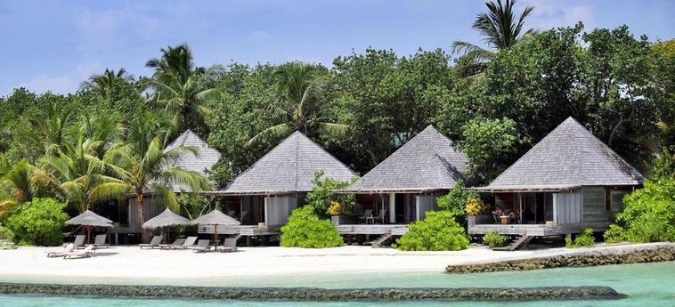 Hotel Gangehi Island Resort & Spa:  MALDIVEN