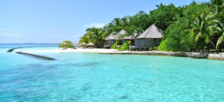 Hotel Gangehi Island Resort & Spa:  MALDIVEN