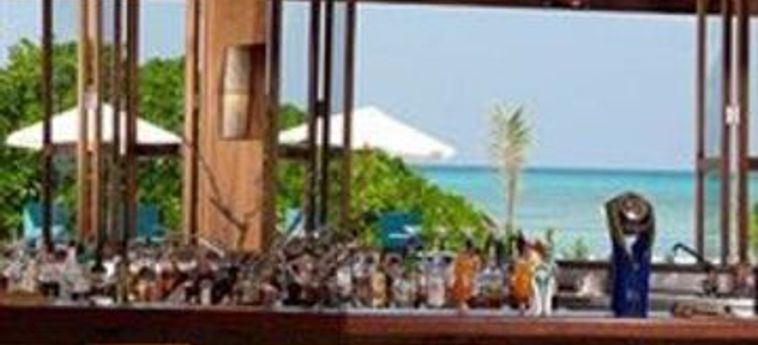 Hotel Canareef Resort Maldives:  MALDIVEN