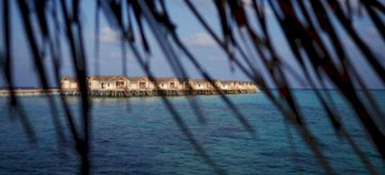 Hotel Loama Resort Maldives At Maamigili:  MALDIVEN