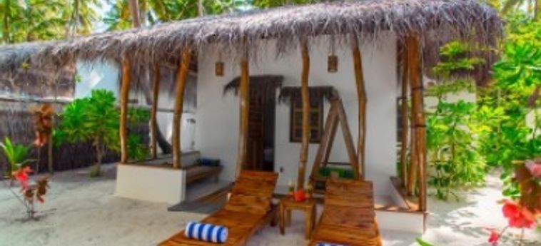 Hotel Aaaveee Nature's Paradise:  MALDIVEN