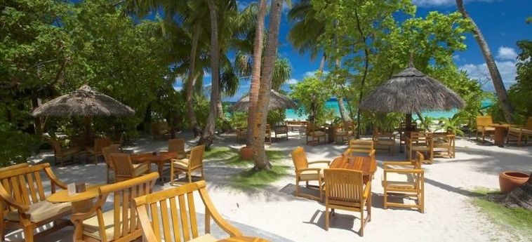 Hotel Filitheyo Island Resort :  MALDIVEN