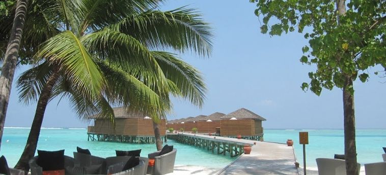 Hotel Meeru Island Resort & Spa:  MALDIVEN