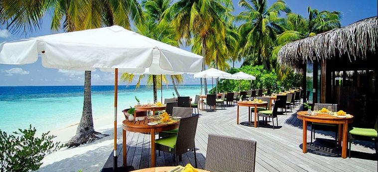 Hotel Mirihi Island Resort:  MALDIVES