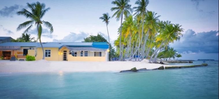 Hotel White Shell Beach Inn:  MALDIVES