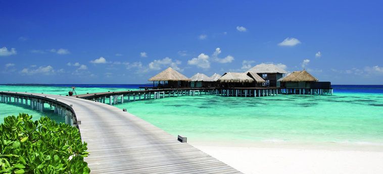 Hotel Coco Palm Bodu Hithi:  MALDIVES