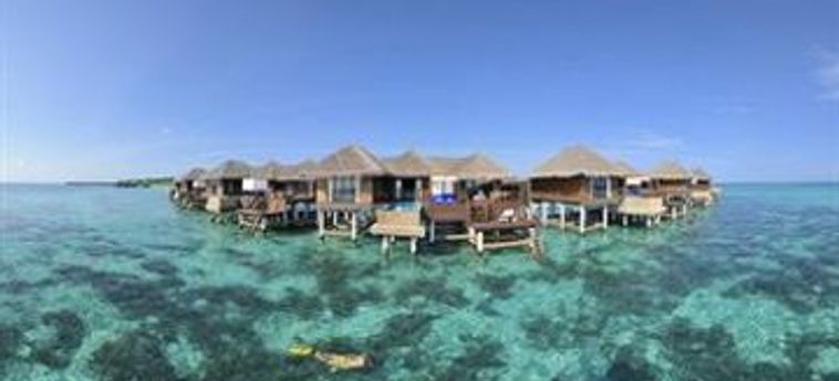Hotel Coco Bodu Hithi:  MALDIVES