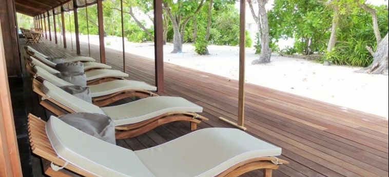 The Barefoot Eco Hotel:  MALDIVES