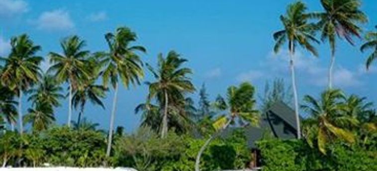 Hotel Canareef Resort Maldives:  MALDIVES
