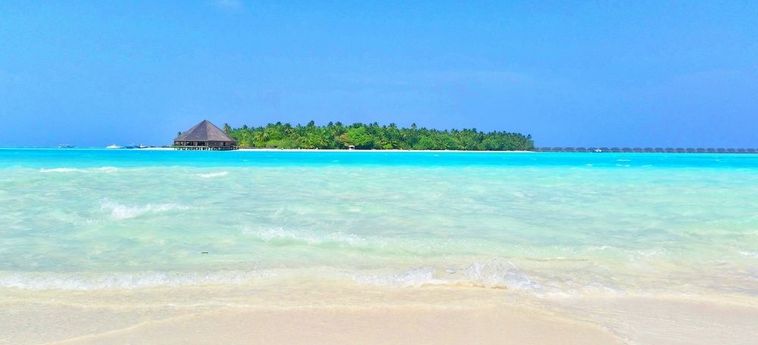 Dhiffushi White Sand Beach Hotel:  MALDIVES