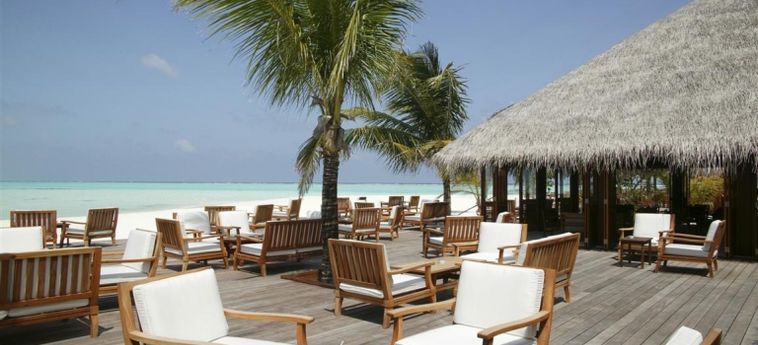 Hotel Meeru Island Resort & Spa:  MALDIVES