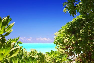 Thoddoo Island Hotel:  MALDIVES