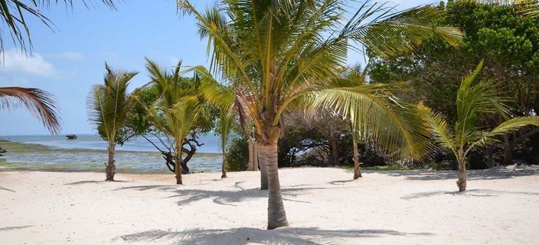 Hotel Leopard Point Luxury Beach Resort &Amp; Spa Malindi: Foto 