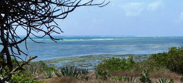 Hotel Leopard Point Luxury Beach Resort &Amp; Spa Malindi: Photo 
