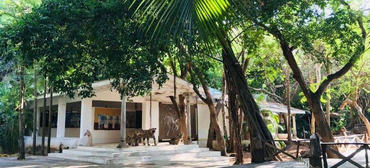Hotel White Elephant Sea Lodge Malindi : Photo 