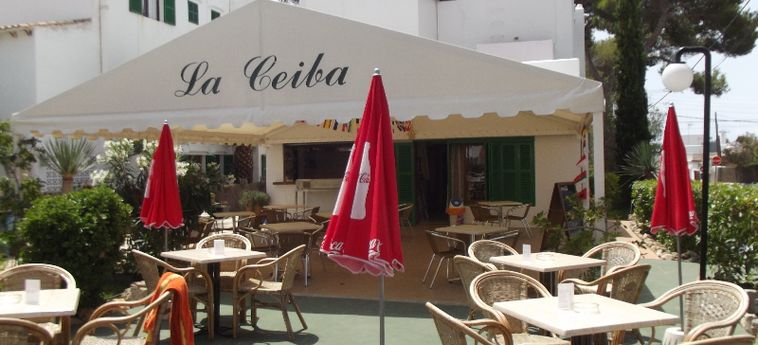 Hotel La Ceiba:  MALLORCA - BALEARISCHEN INSELN