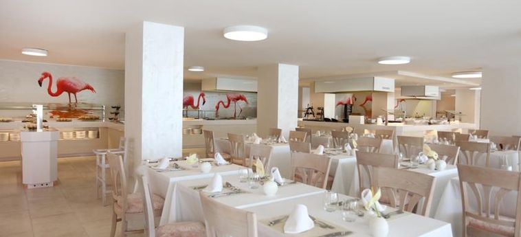 Hotel Iberostar Selection Playa De Palma:  MALLORCA - ISLAS BALEARES
