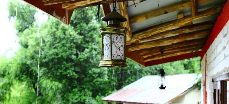 Hotel Backpacker Panda Manali Manali: Photo 