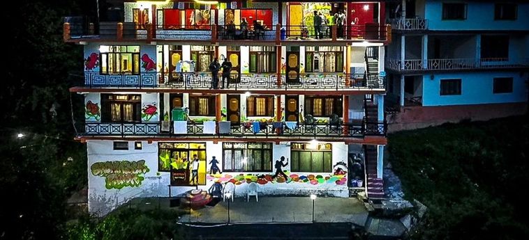 Hotel Backpacker Panda Manali Manali: Photo 
