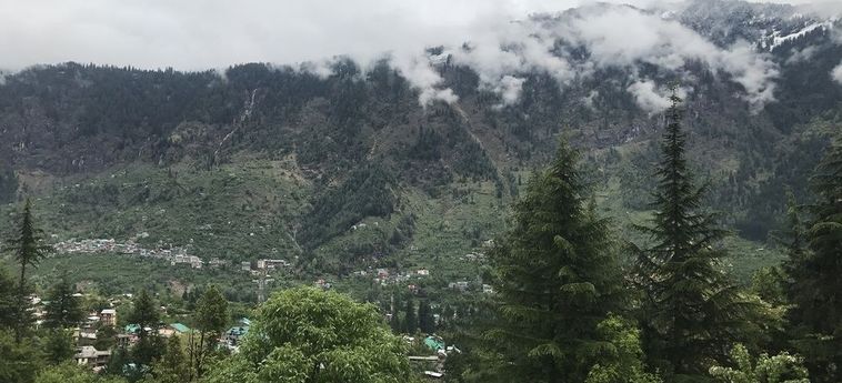 Hotel Backpacker Panda Manali Manali: Photo 