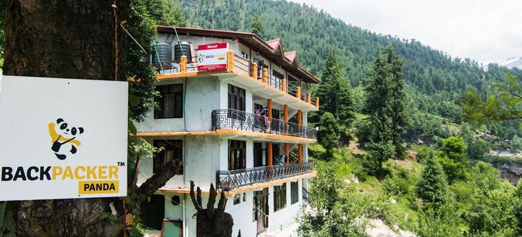 Hotel Backpacker Panda Manali Manali: Photo 