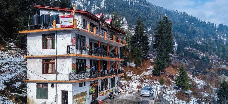 Hotel Backpacker Panda Manali Manali: Photo 