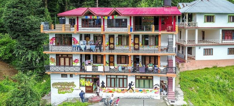 Hotel Backpacker Panda Manali Manali: Photo 