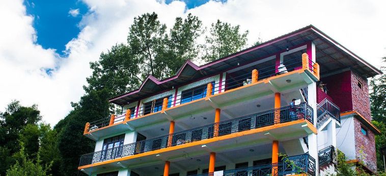 Hotel Backpacker Panda Manali Manali: Photo 