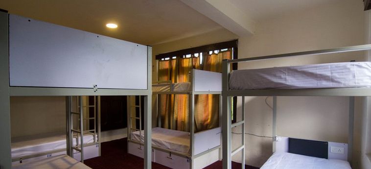 Hotel Backpacker Panda Manali Manali: Photo 