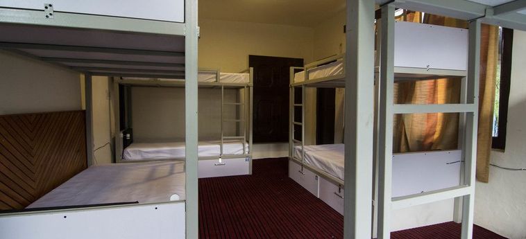 Hotel Backpacker Panda Manali Manali: Photo 