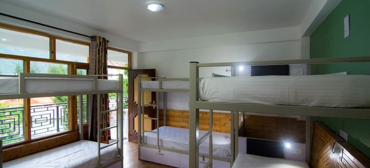 Hotel Backpacker Panda Manali Manali: Photo 