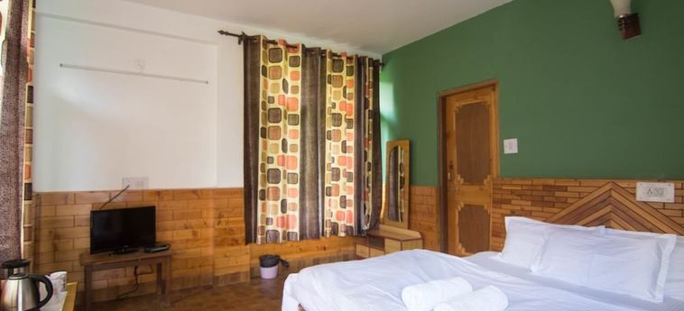 Hotel Backpacker Panda Manali Manali: Photo 