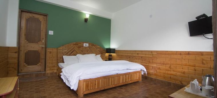 Hotel Backpacker Panda Manali Manali: Photo 