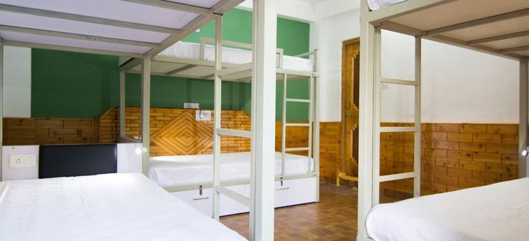 Hotel Backpacker Panda Manali Manali: Photo 