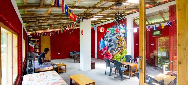 Hotel Backpacker Panda Manali Manali: Photo 