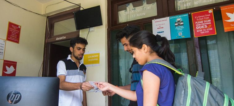 Hotel Backpacker Panda Manali Manali: Photo 