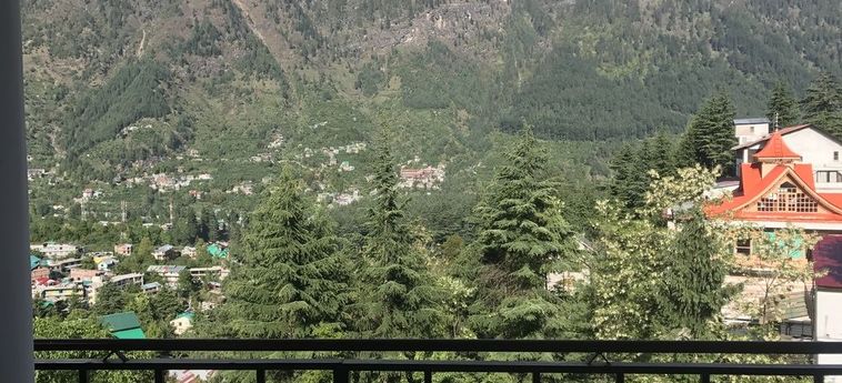 Hotel Backpacker Panda Manali Manali: Photo 