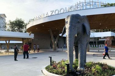 Hotel Century Park Manila: Photo 
