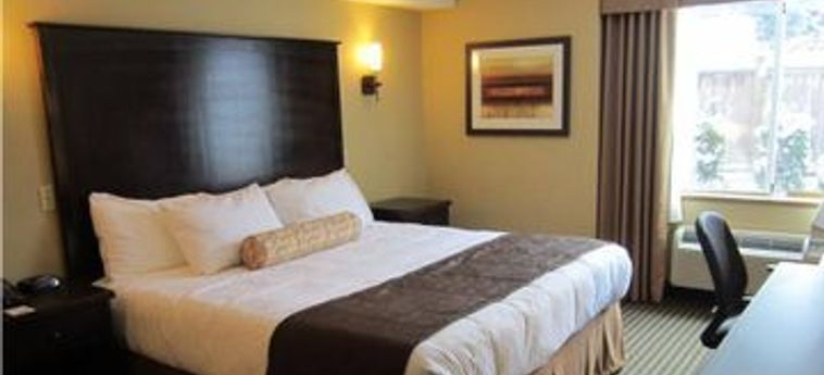 Best Western Maple Ridge Hotel:  MAPLE RIDGE