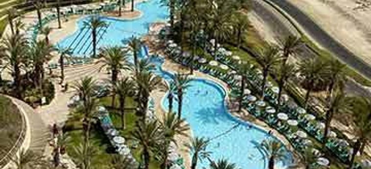 Hotel David Dead Sea Resort & Spa:  MAR MORTO